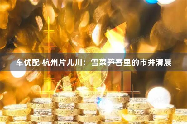 车优配 杭州片儿川：雪菜笋香里的市井清晨