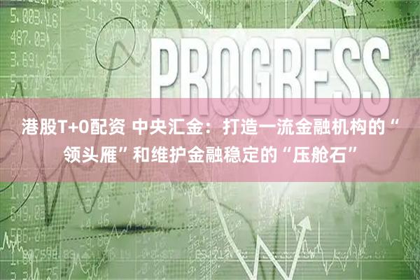 港股T+0配资 中央汇金：打造一流金融机构的“领头雁”和维护金融稳定的“压舱石”