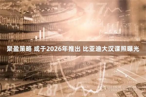 聚盈策略 或于2026年推出 比亚迪大汉谍照曝光