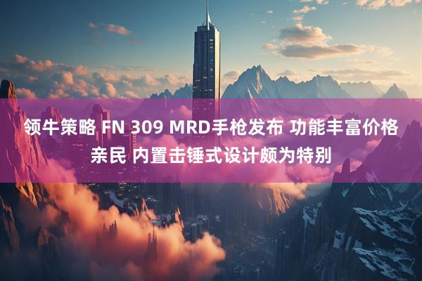 领牛策略 FN 309 MRD手枪发布 功能丰富价格亲民 内置击锤式设计颇为特别