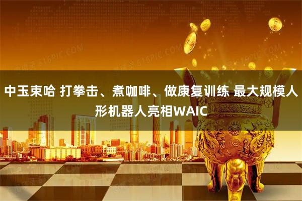 中玉束哈 打拳击、煮咖啡、做康复训练 最大规模人形机器人亮相WAIC